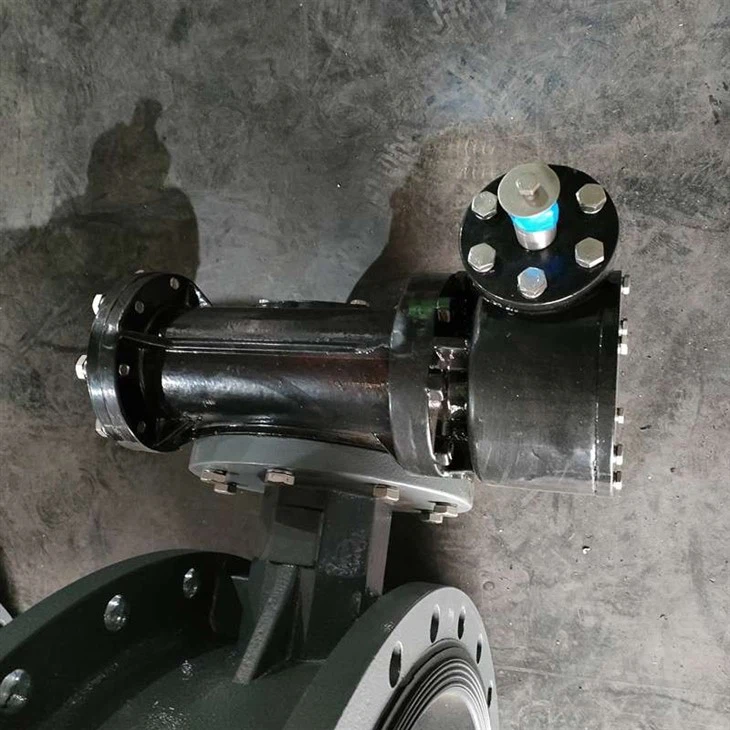 Large Diameter Turbine Flange Butterfly Valve